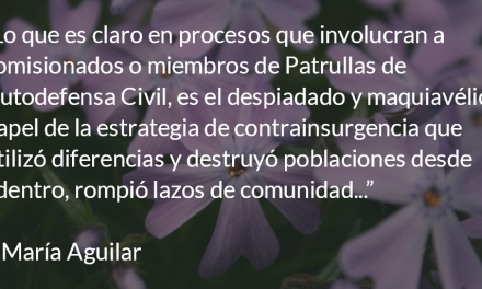 El maquiavélico papel de la estrategia de contrainsurgencia. María Aguilar.