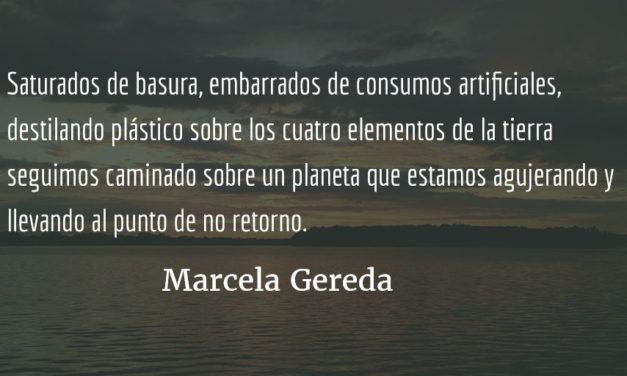 Vidas hechas de plástico. Marcela Gereda.