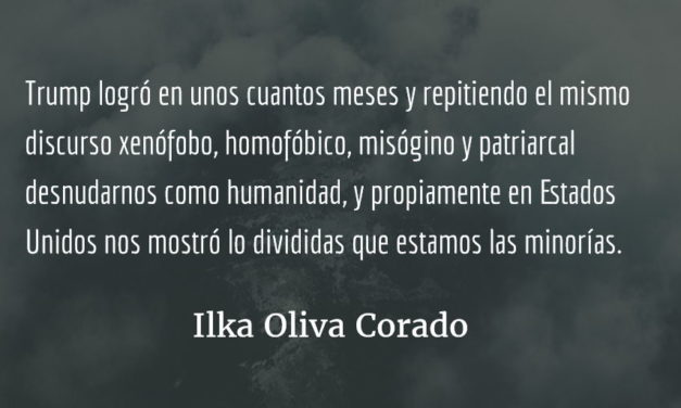 Nos llegó el turno a los indocumentados (2). Ilka Oliva Corado.