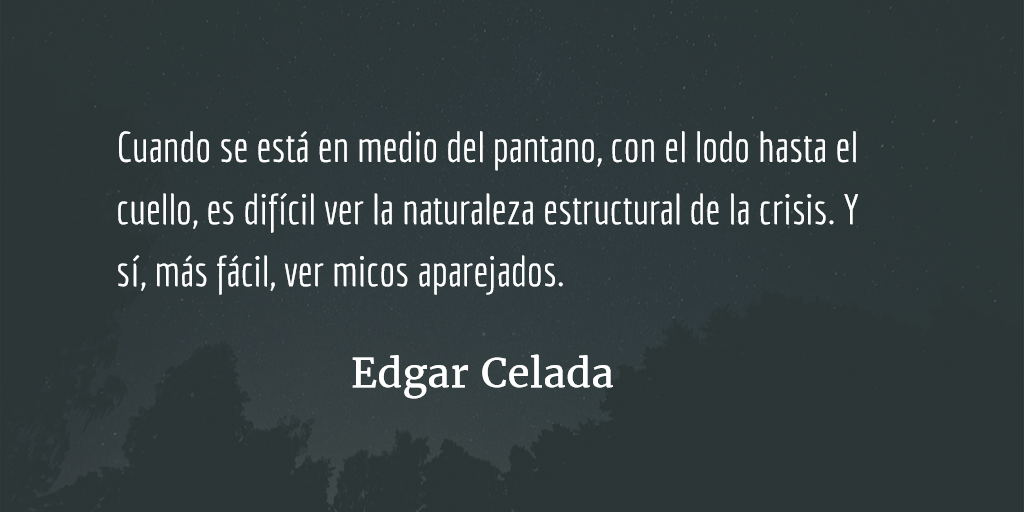 Noticias del pantano. Edgar Celada Q.