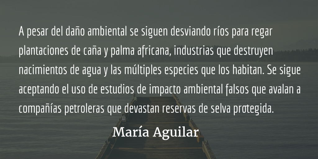 Devastación ambiental. María Aguilar.