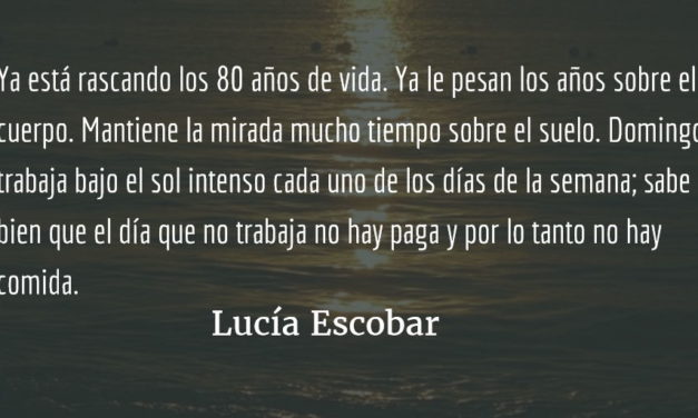 Domingo sin domingo. Lucía Escobar.