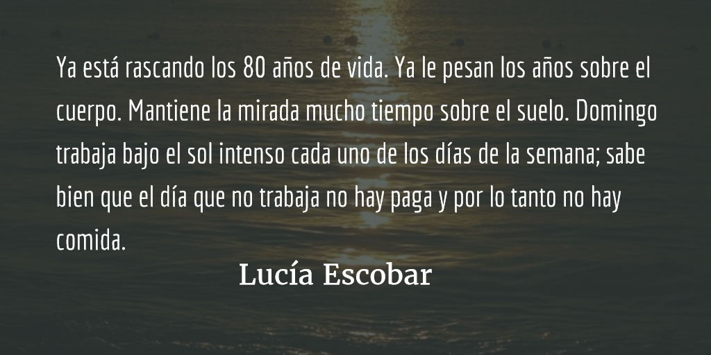 Domingo sin domingo. Lucía Escobar.