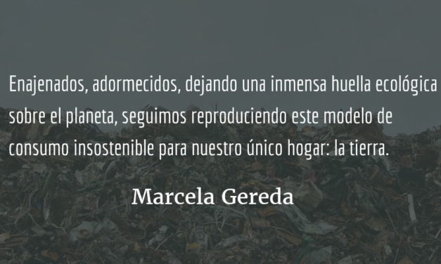 Generar una alternativa al mundo de hoy. Marcela Gereda.