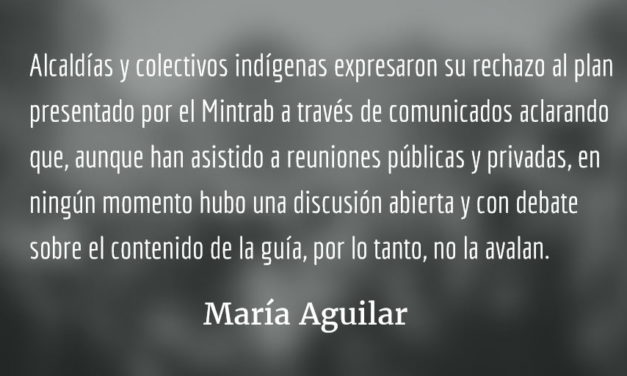 Reglamentando la consulta previa. María Aguilar.