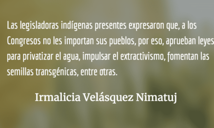 Mujeres indígenas decisoras. Irmalicia Velásquez Nimatuj.