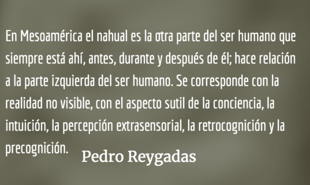 Veinte tesis sobre el “alma” nativa de Abya Yala: una lectura discursiva decolonial (segunda parte). Pedro Reygadas.