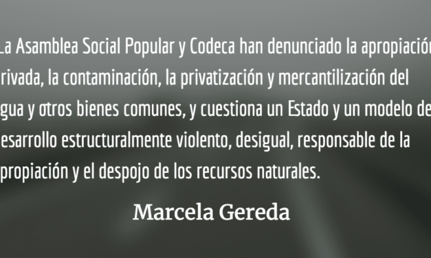 Solidaridad en la lucha. Marcela Gereda.