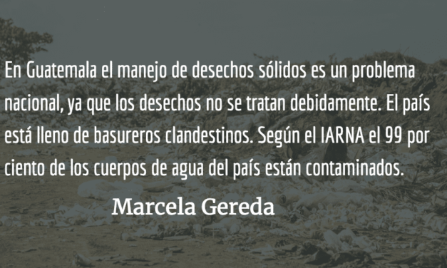 Hacernos más ecológicos. Marcela Gereda.
