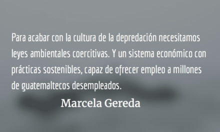 Encrucijada ambiental. Marcela Gereda.