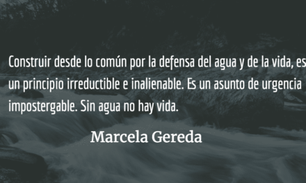 Defensa del agua, defensa de la vida. Marcela Gereda.
