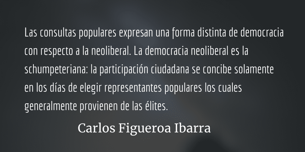 Democracia neoliberal, democracia participativa. Carlos Figueroa Ibarra.