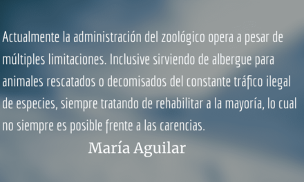 Quetzaltenango irrespeta la vida animal. María Aguilar.
